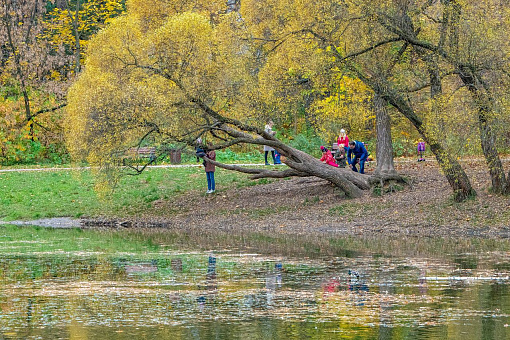 Осень в Филевском парке