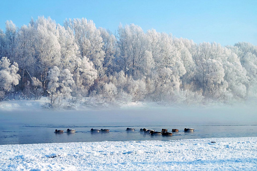 Башкортостан