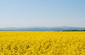 Украина