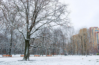Воронцовский парк