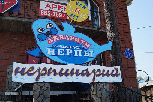 Нерпинарий в Иркутске