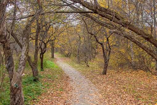 Филёвский парк
