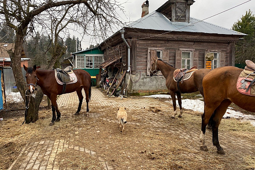 Конное подворье Дютьково
