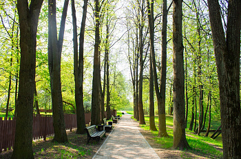 Воронцовский парк