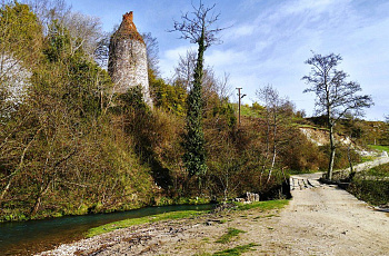 Цкуара