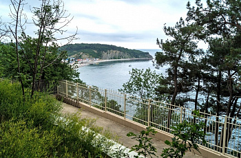 Зелень у берега моря