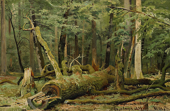 Шишкин И.И. «Срубленный дуб» 1892 г.