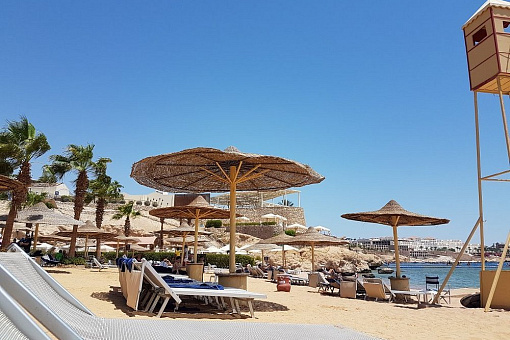 Shark's Bay Beach