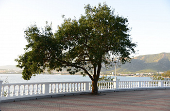 Геленджик