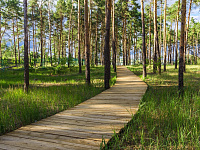 Фото Червленого Яра