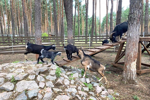 Червленый Яр