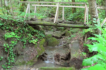 В парке "Берендеево царство"