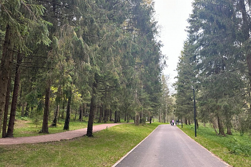 Парковые дорожки