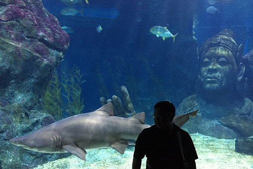 Siam Ocean World