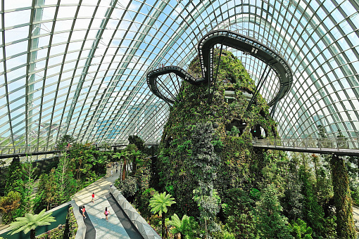 Внутри купола Cloud Forest