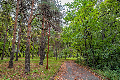 Дорожки в парке