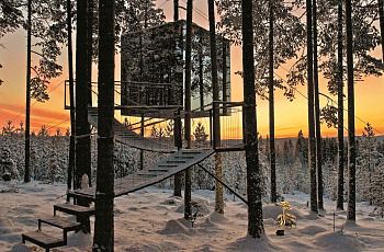 Отель на деревьях Treehotel