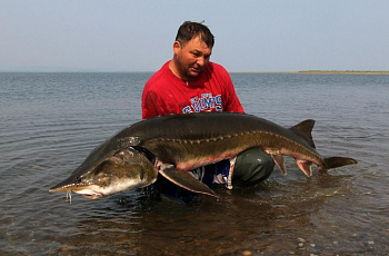Сахалин