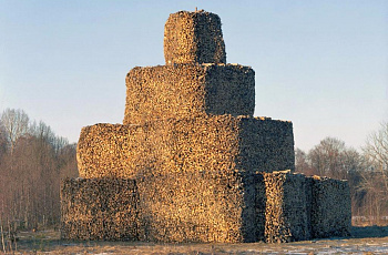 Дровник