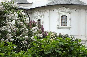 Сирень в монастырском саду