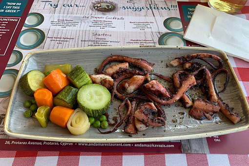 Осьминог на гриле в Andama Tavern