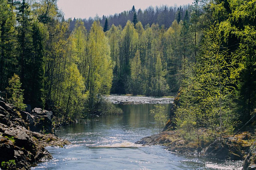 Карелия