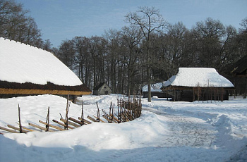 Таллин