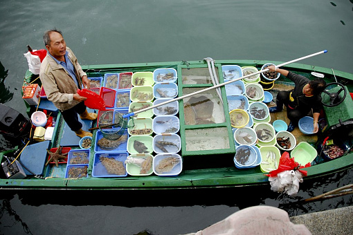 Свежая рыба с Sai Kung