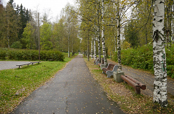Дорожка в парке