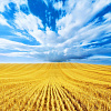 Украина