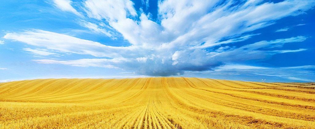 Украина