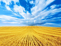 Фото Украины
