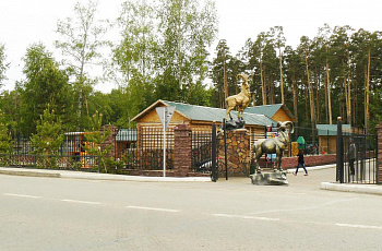 Музей природы поселка Боровое