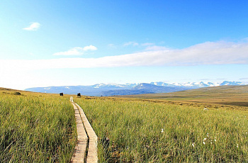 Лапландия