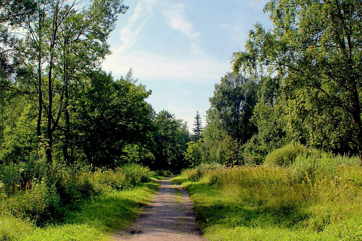 Царское Село