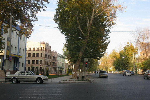 Фергана