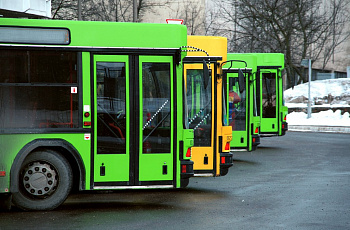 Автобусы