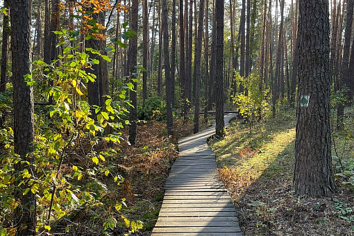 Воронежский заповедник