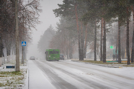 Светлогорск