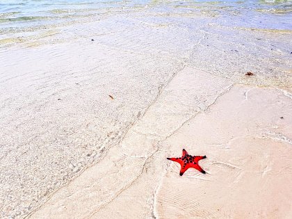Пляж Морских звезд