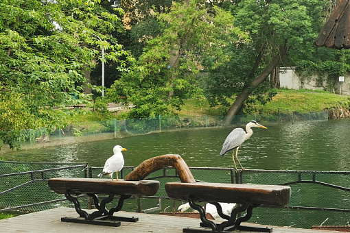 Саратов