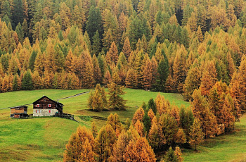 Осенний пейзаж