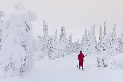 Лапландия – удивительное место на нашей планете!