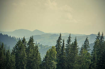 Украина