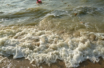 Море на городском пляже Ейска