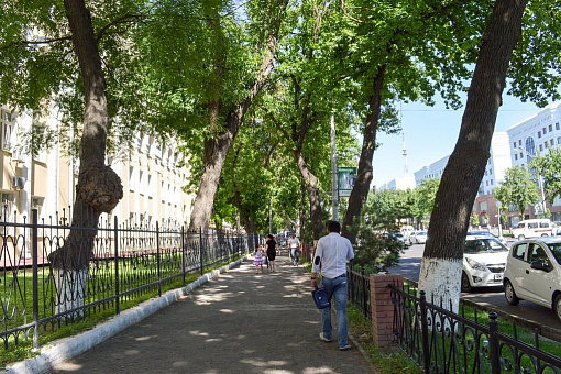 Улица Навои