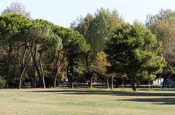 Parco Briolini