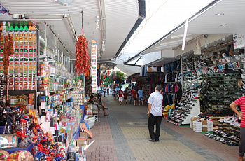 Алания