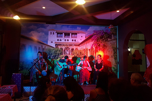 Выступление в арт-кафе El Tablao Flamenco