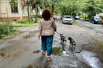 Амалиенау